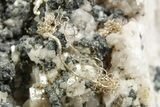 Native Silver Ribbons on Light Pink Dolomite Matrix - Morocco #368317-2